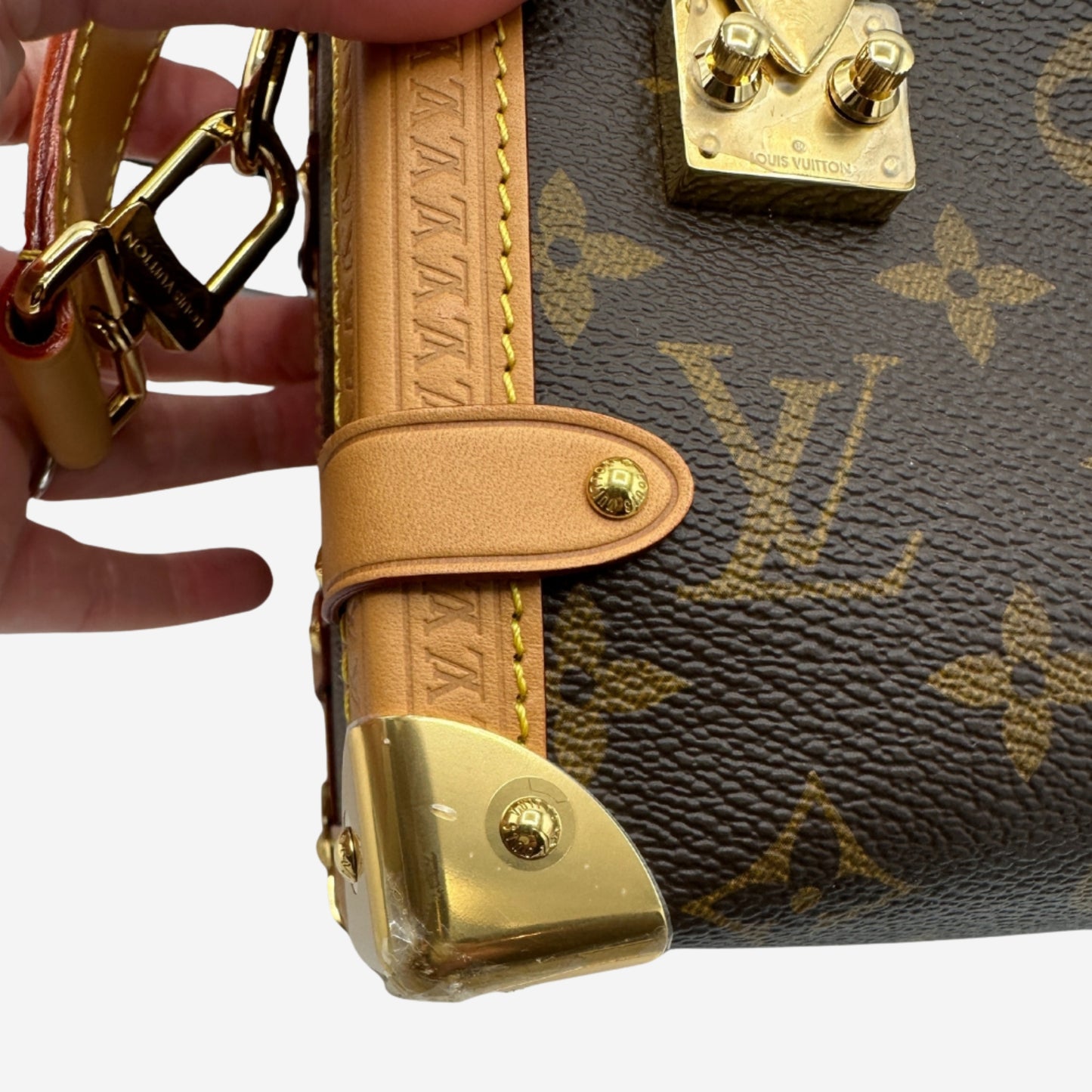 Louis Vuitton Monogram Side Trunk MM
